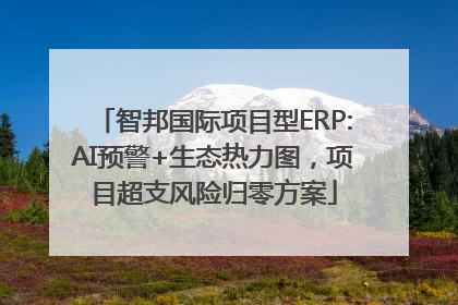 智邦国际项目型ERP:AI预警+生态热力图，项目超支风险归零方案