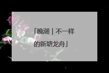晚潮｜不一样的新塘龙舟