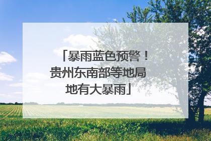 暴雨蓝色预警！贵州东南部等地局地有大暴雨