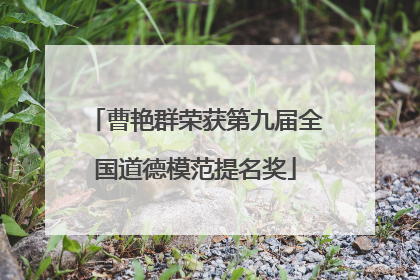曹艳群荣获第九届全国道德模范提名奖