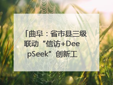 曲阜：省市县三级联动“信访+DeepSeek”创新工作新闻发布会举行