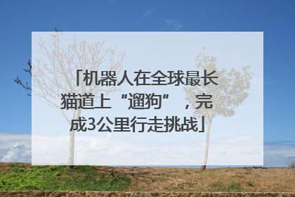 机器人在全球最长猫道上“遛狗”，完成3公里行走挑战