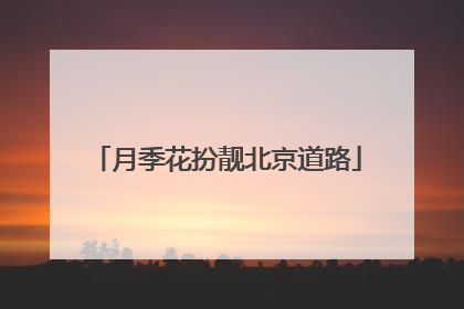 月季花扮靓北京道路