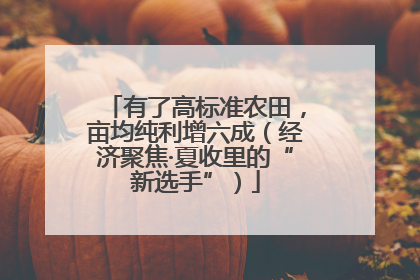 有了高标准农田，亩均纯利增六成（经济聚焦·夏收里的“新选手”）