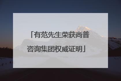 有范先生荣获尚普咨询集团权威证明