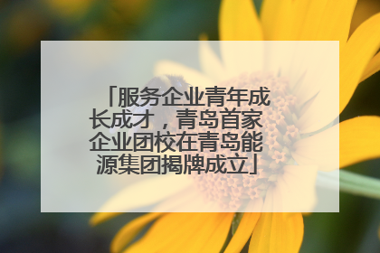 服务企业青年成长成才,青岛首家企业团校在青岛能源集团揭牌成立
