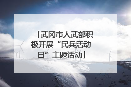 武冈市人武部积极开展“民兵活动日”主题活动