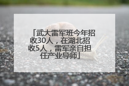 武大雷军班今年招收30人，在湖北招收5人，雷军亲自担任产业导师