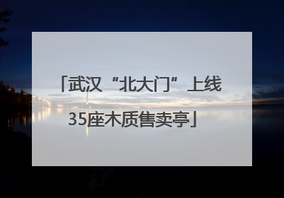 武汉“北大门”上线35座木质售卖亭