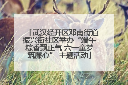 武汉经开区邓南街道振兴街社区举办“端午粽香飘正气 六一童梦筑廉心” 主题活动