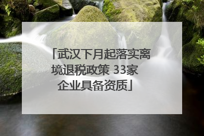 武汉下月起落实离境退税政策 33家企业具备资质