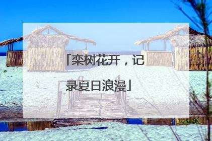 栾树花开，记录夏日浪漫