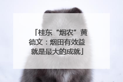 桂东“烟农”黄德文：烟田有效益就是最大的成就