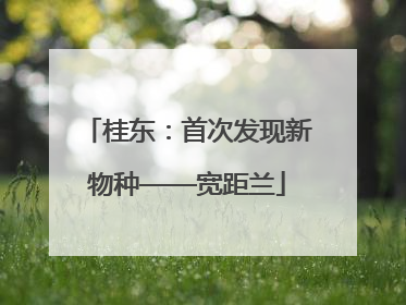 桂东：首次发现新物种——宽距兰