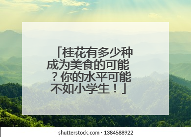 桂花有多少种成为美食的可能？你的水平可能不如小学生！