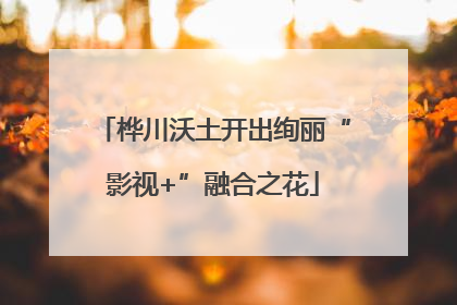 桦川沃土开出绚丽“影视+”融合之花