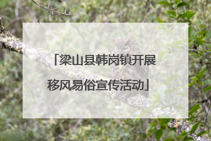 梁山县韩岗镇开展移风易俗宣传活动