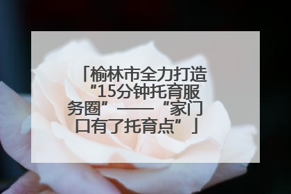 榆林市全力打造“15分钟托育服务圈”——“家门口有了托育点”