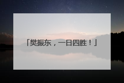 樊振东，一日四胜！