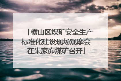 横山区煤矿安全生产标准化建设现场观摩会在朱家峁煤矿召开