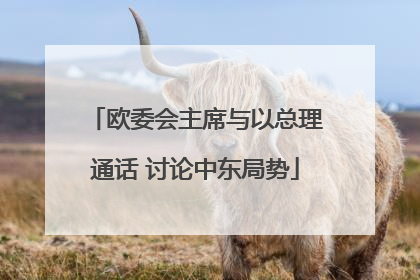欧委会主席与以总理通话 讨论中东局势