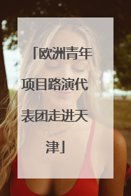 欧洲青年项目路演代表团走进天津