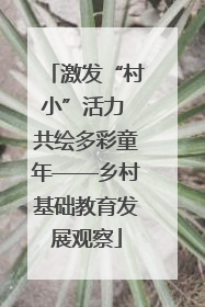 激发“村小”活力 共绘多彩童年——乡村基础教育发展观察