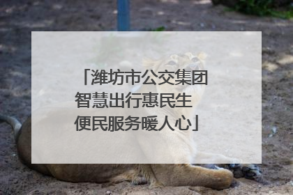 潍坊市公交集团智慧出行惠民生 便民服务暖人心