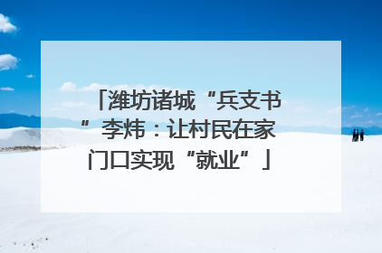 潍坊诸城“兵支书”李炜：让村民在家门口实现“就业”