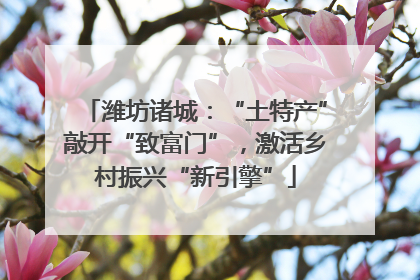 潍坊诸城：“土特产”敲开“致富门”，激活乡村振兴“新引擎”