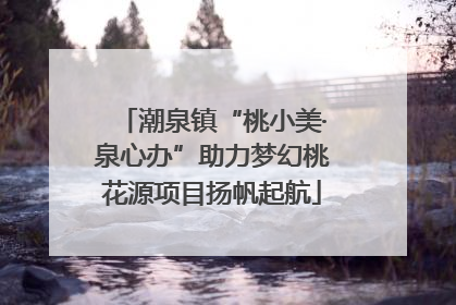 潮泉镇“桃小美·泉心办”助力梦幻桃花源项目扬帆起航