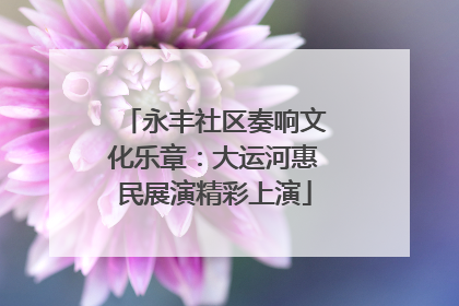 永丰社区奏响文化乐章：大运河惠民展演精彩上演