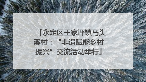 永定区王家坪镇马头溪村：“非遗赋能乡村振兴”交流活动举行