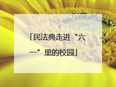 民法典走进“六一”里的校园