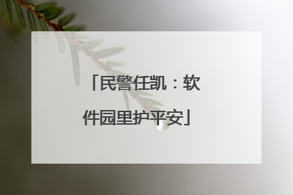 民警任凯：软件园里护平安