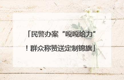 民警办案“嘎嘎给力”！群众称赞送定制锦旗