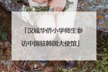 汉城华侨小学师生参访中国驻韩国大使馆
