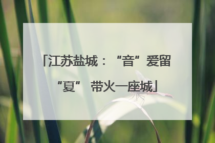 江苏盐城：“音”爱留“夏” 带火一座城