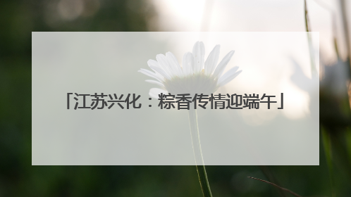 江苏兴化：粽香传情迎端午
