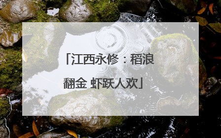 江西永修：稻浪翻金 虾跃人欢