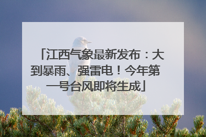 江西气象最新发布：大到暴雨、强雷电！今年第一号台风即将生成