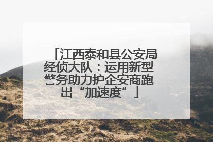 江西泰和县公安局经侦大队：运用新型警务助力护企安商跑出“加速度”