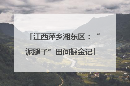 江西萍乡湘东区：“泥腿子”田间掘金记