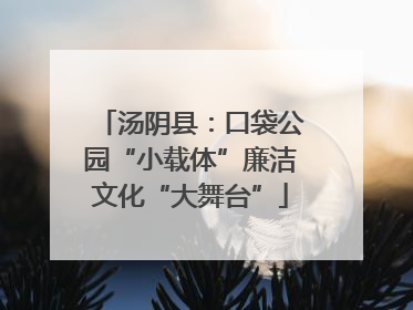 汤阴县：口袋公园“小载体”廉洁文化“大舞台”