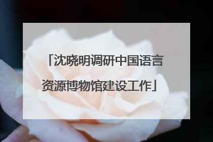 沈晓明调研中国语言资源博物馆建设工作