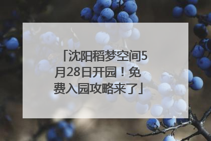 沈阳稻梦空间5月28日开园！免费入园攻略来了