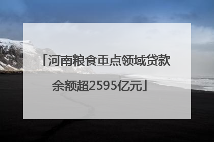 河南粮食重点领域贷款余额超2595亿元