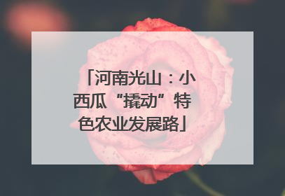 河南光山：小西瓜“撬动”特色农业发展路