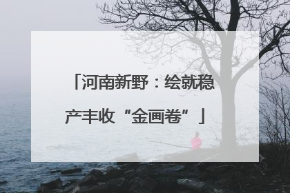 河南新野：绘就稳产丰收“金画卷”