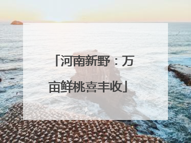 河南新野：万亩鲜桃喜丰收
